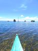 vers la mangrove